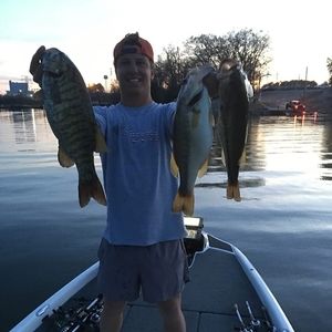 Meet your Posher, Ryan